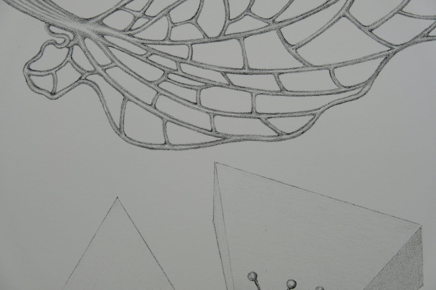 Gochka CHAREWICZ : Fleur triangulaire - Lithographie originale signée