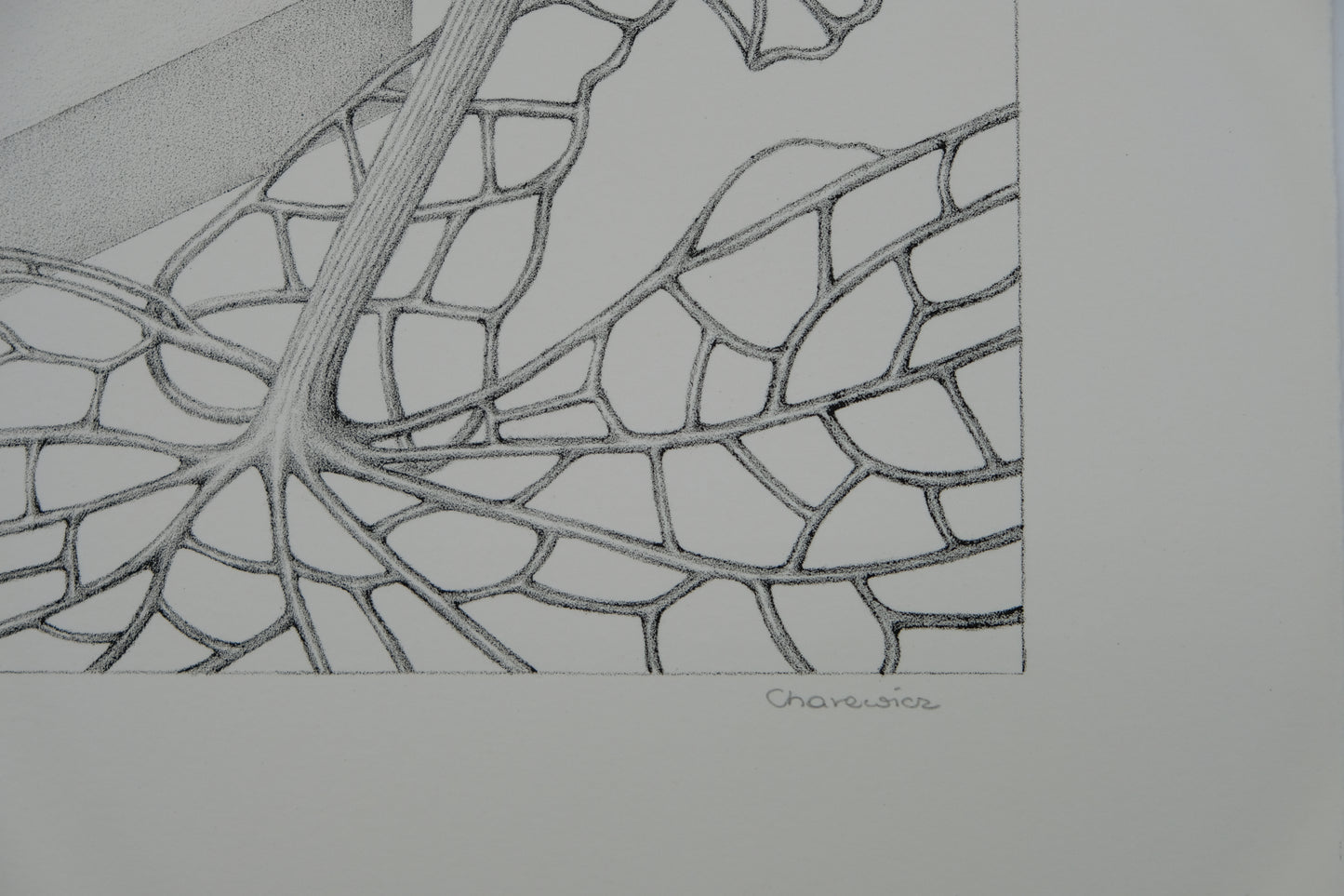 Gochka CHAREWICZ : Fleur triangulaire - Lithographie originale signée