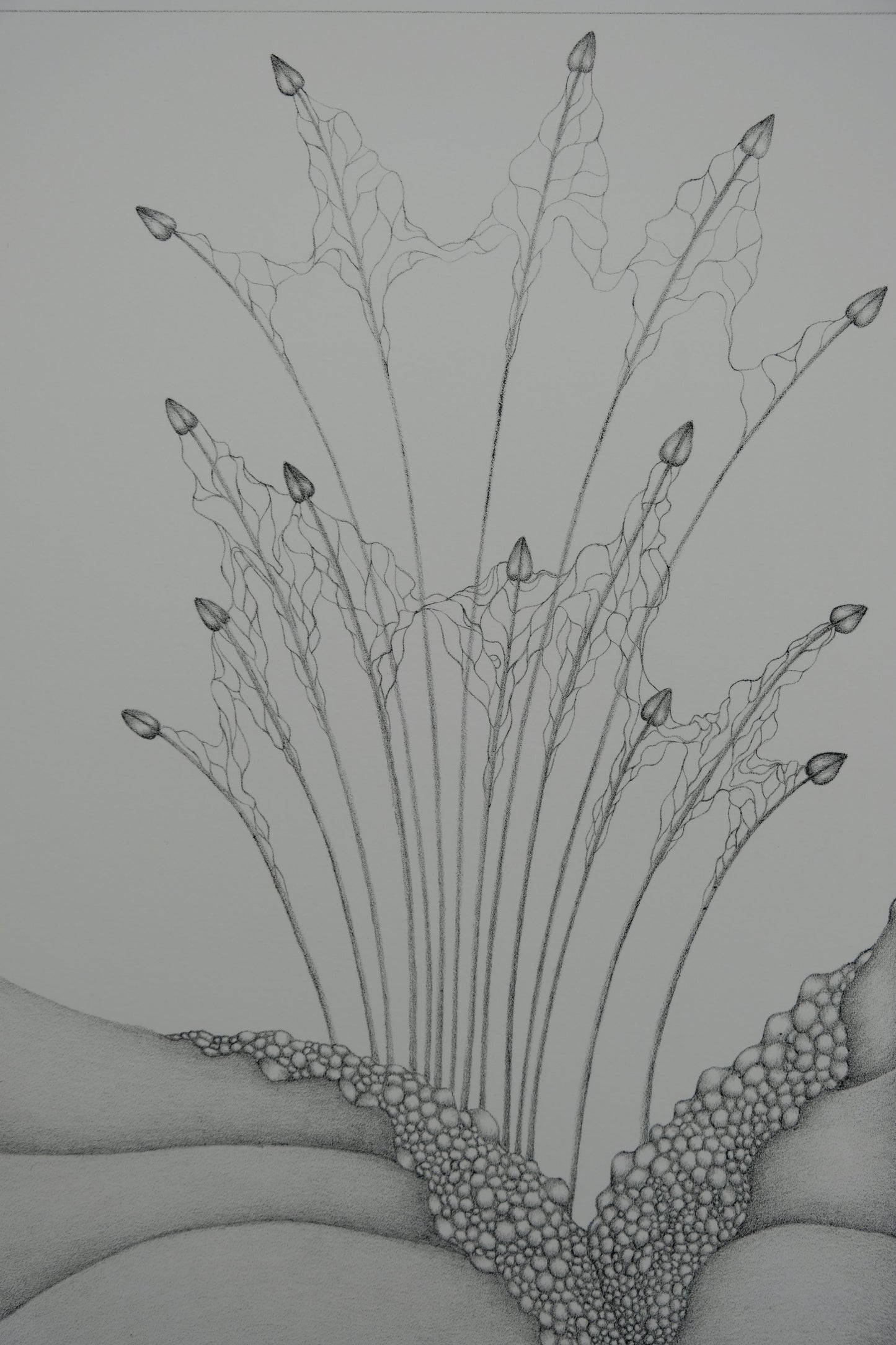 Gochka CHAREWICZ : Petits bourgeons- Lithographie originale signée