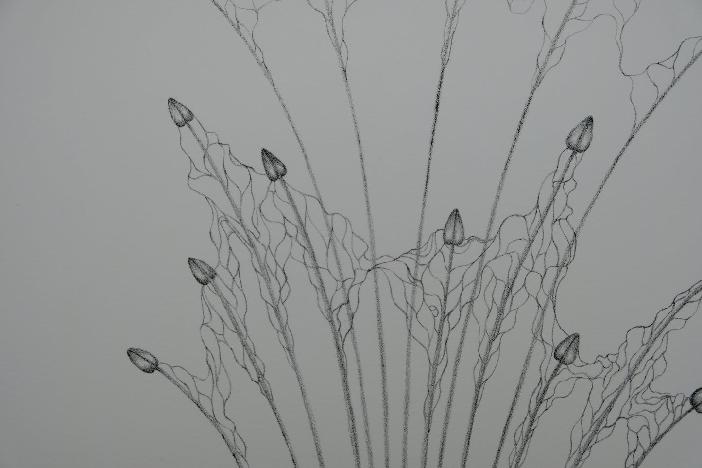 Gochka CHAREWICZ : Petits bourgeons- Lithographie originale signée