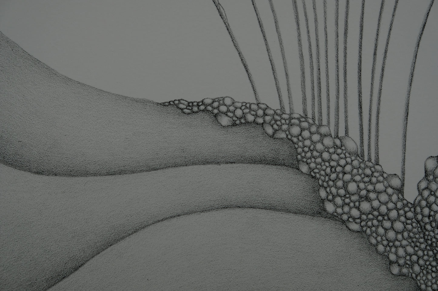 Gochka CHAREWICZ : Petits bourgeons- Lithographie originale signée