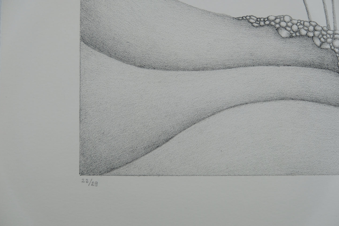 Gochka CHAREWICZ : Petits bourgeons- Lithographie originale signée