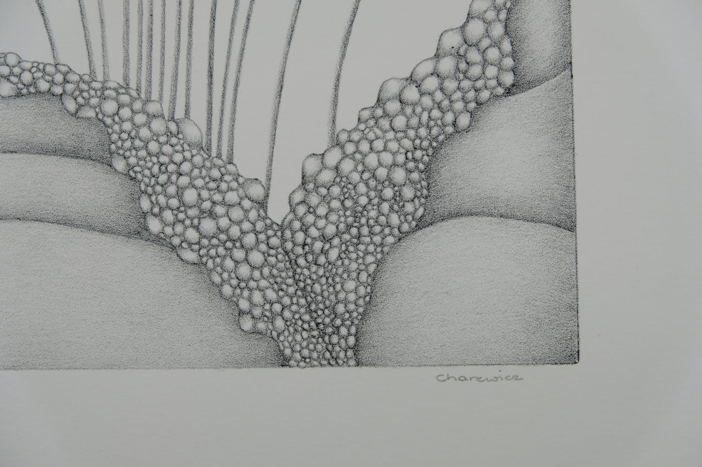 Gochka CHAREWICZ : Petits bourgeons- Lithographie originale signée