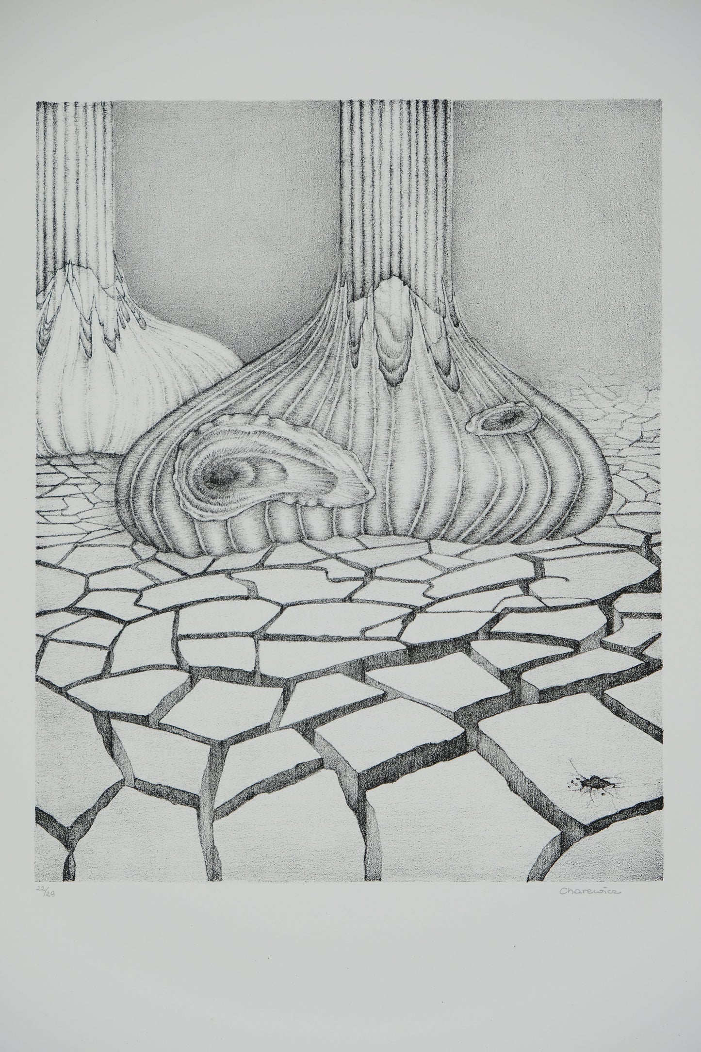 Gochka CHAREWICZ : Terre arride - Lithographie originale signée