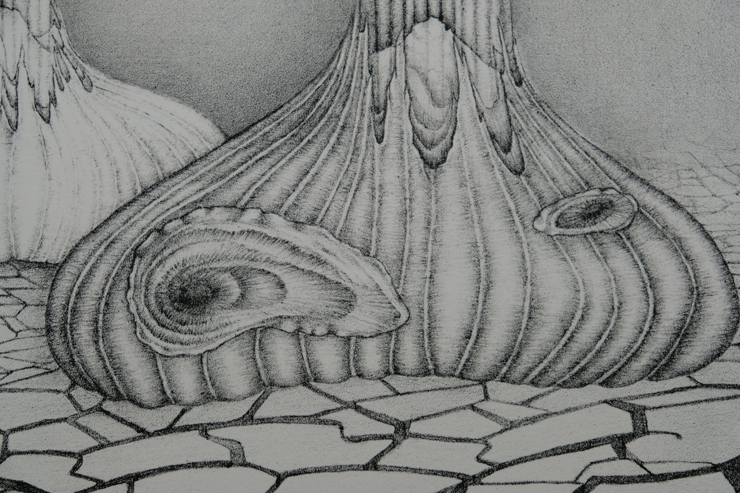 Gochka CHAREWICZ : Terre arride - Lithographie originale signée