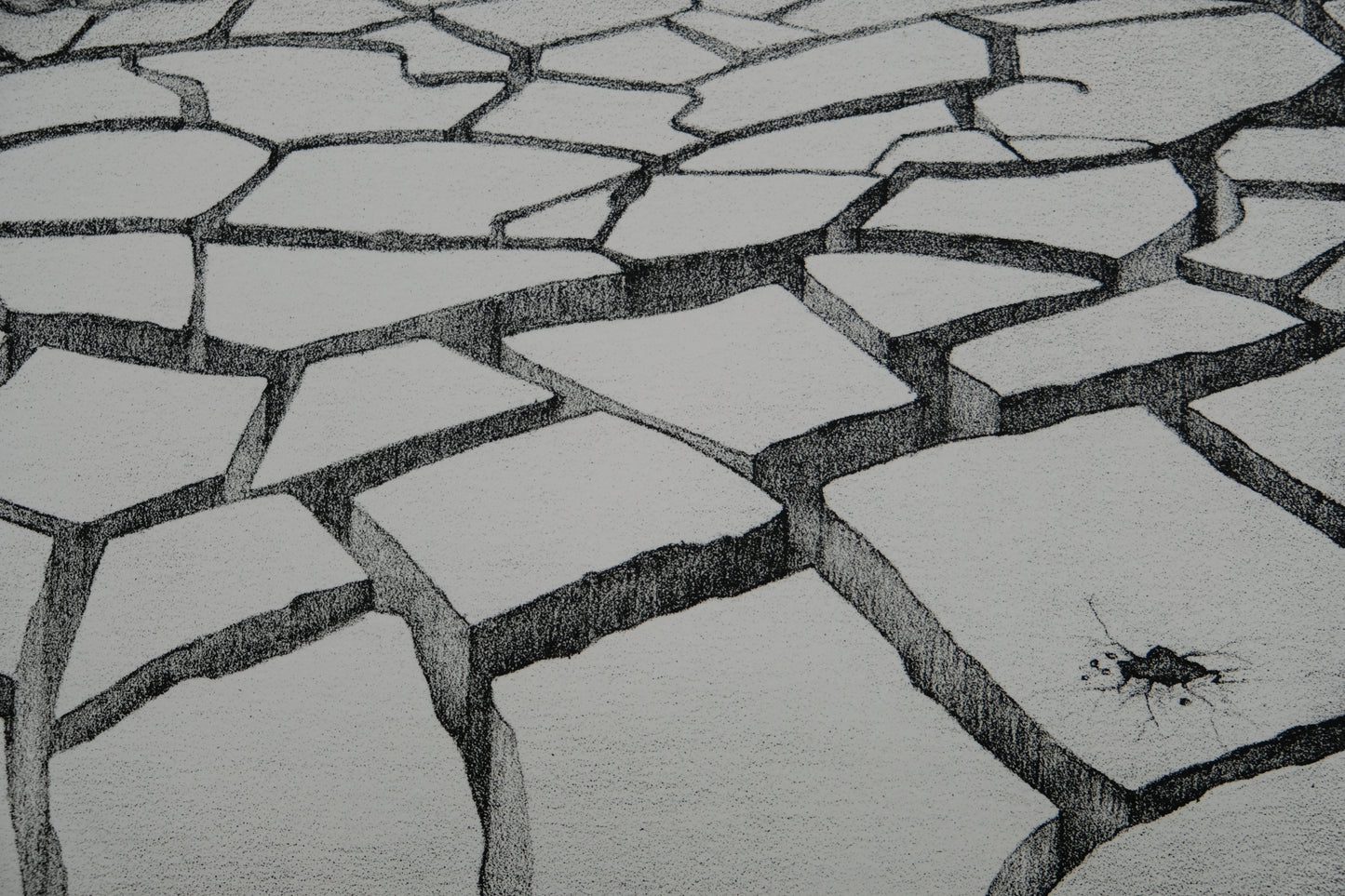 Gochka CHAREWICZ : Terre arride - Lithographie originale signée