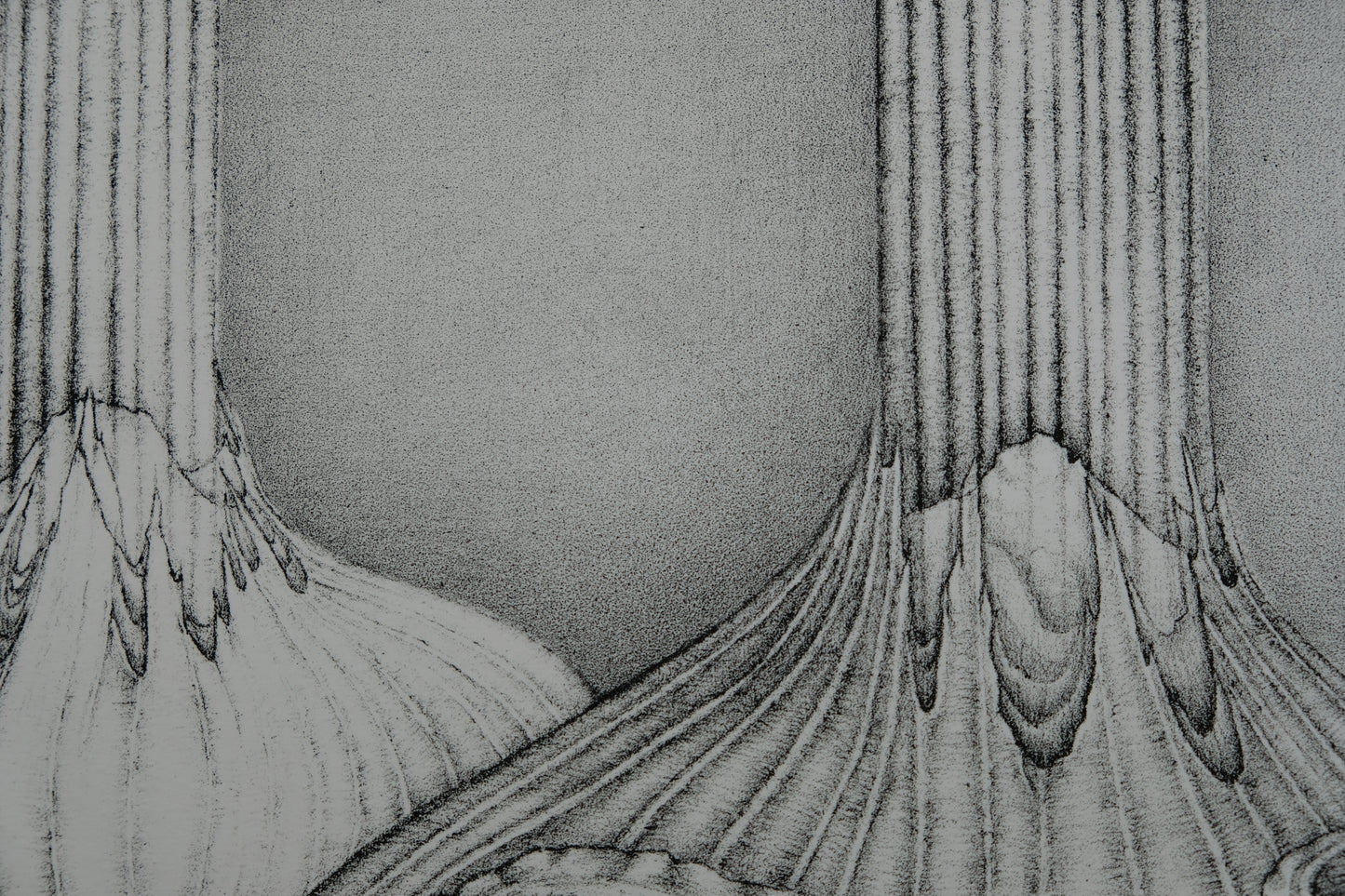 Gochka CHAREWICZ : Terre arride - Lithographie originale signée