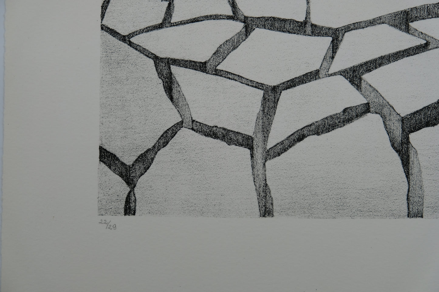 Gochka CHAREWICZ : Terre arride - Lithographie originale signée