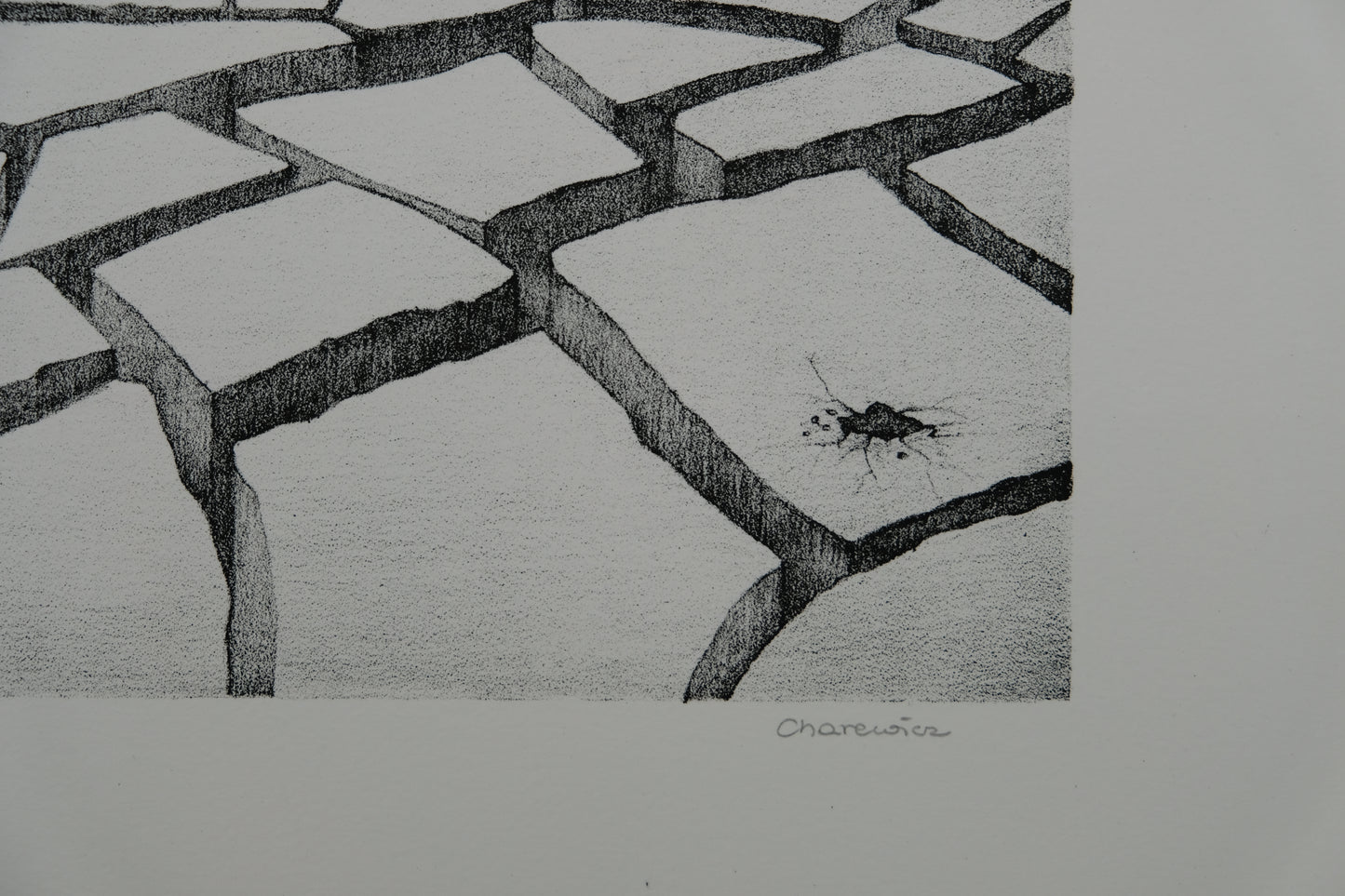 Gochka CHAREWICZ : Terre arride - Lithographie originale signée