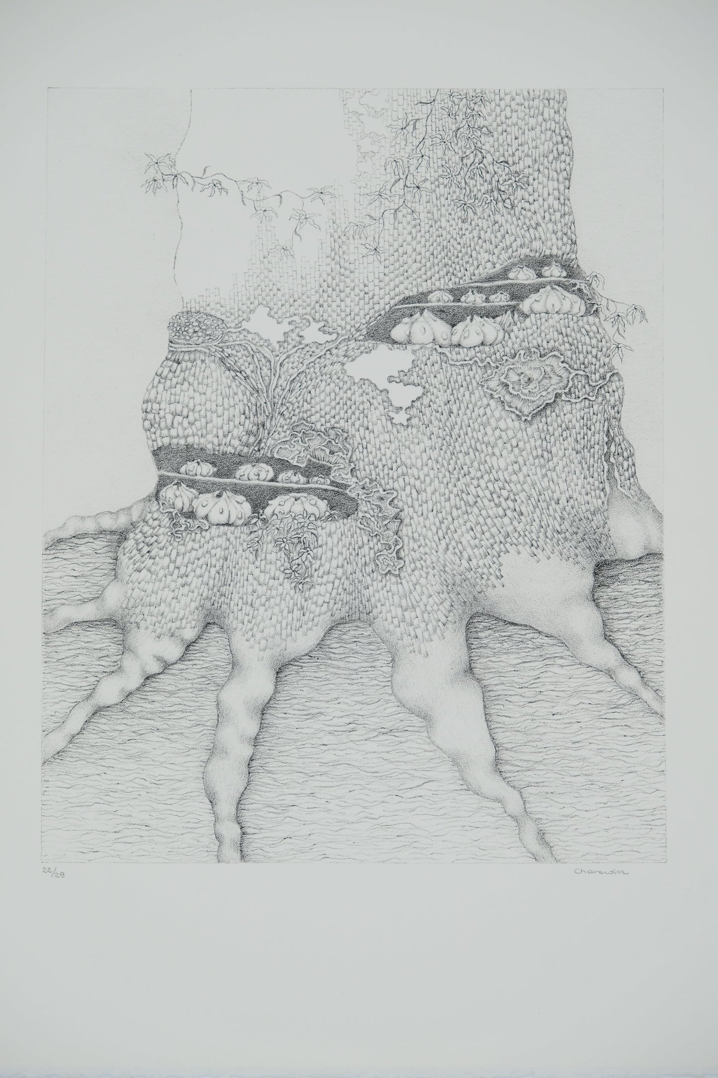 Gochka CHAREWICZ : Tronc et racines - Lithographie originale signée