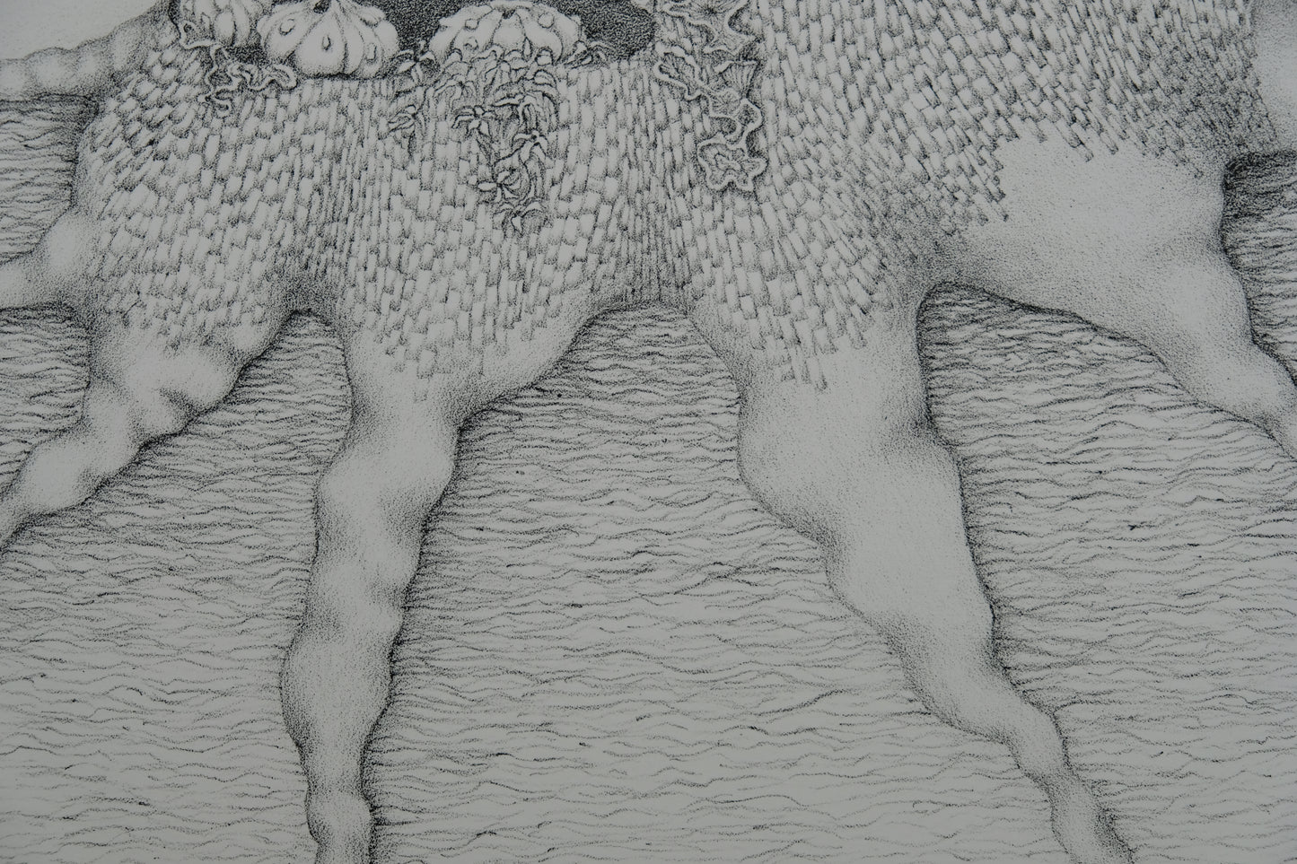 Gochka CHAREWICZ : Tronc et racines - Lithographie originale signée