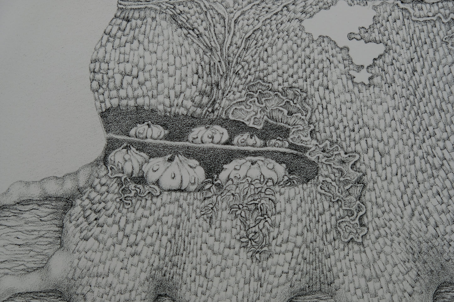 Gochka CHAREWICZ : Tronc et racines - Lithographie originale signée