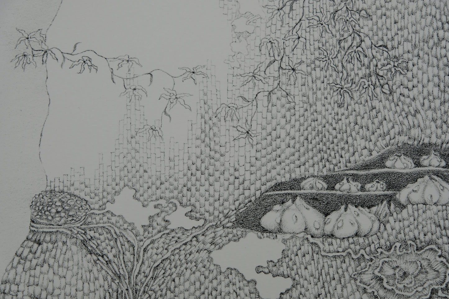 Gochka CHAREWICZ : Tronc et racines - Lithographie originale signée