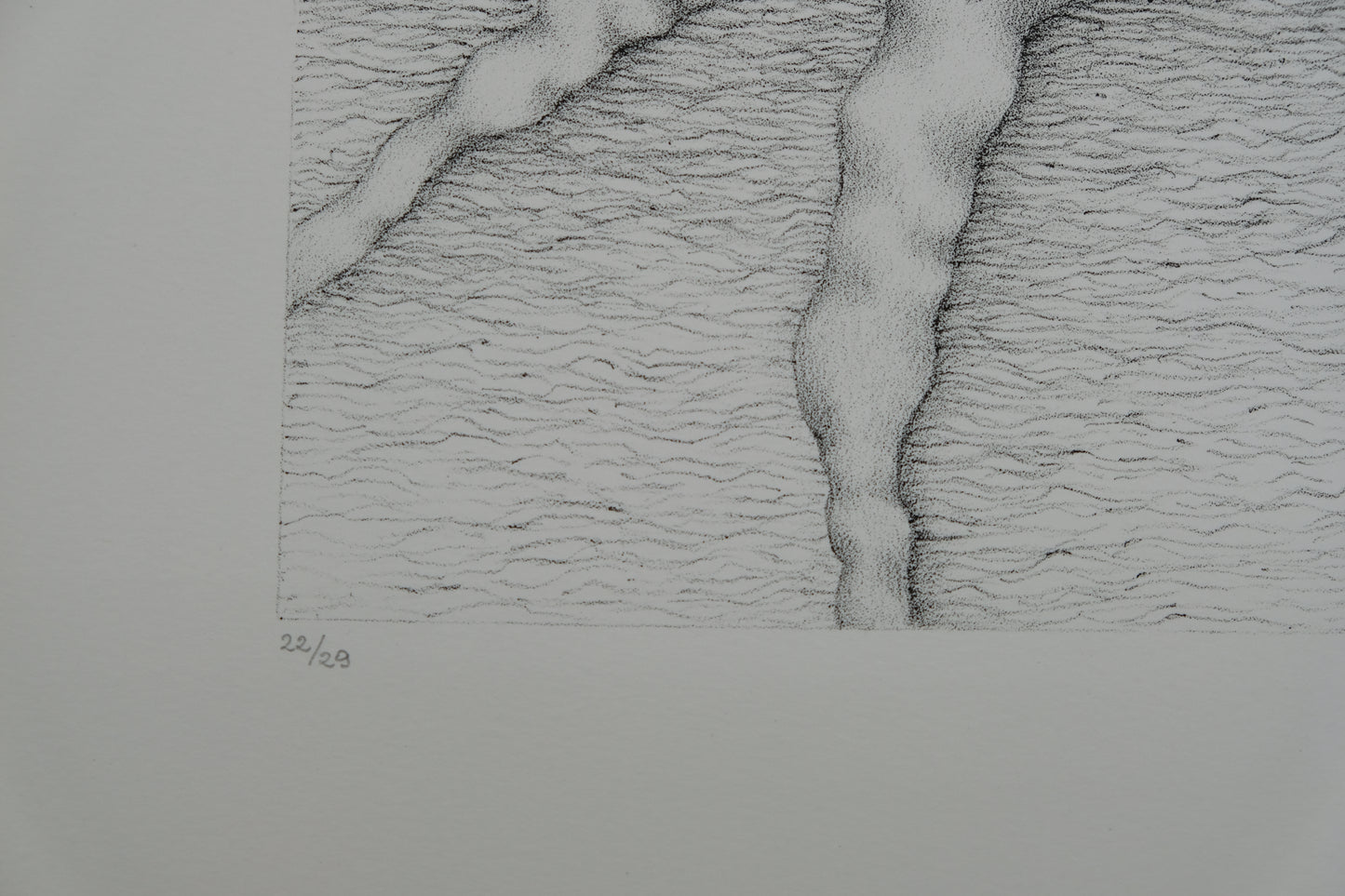 Gochka CHAREWICZ : Tronc et racines - Lithographie originale signée