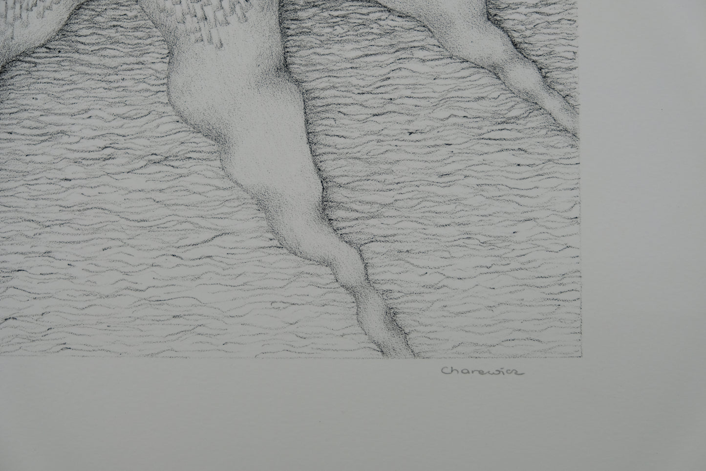 Gochka CHAREWICZ : Tronc et racines - Lithographie originale signée