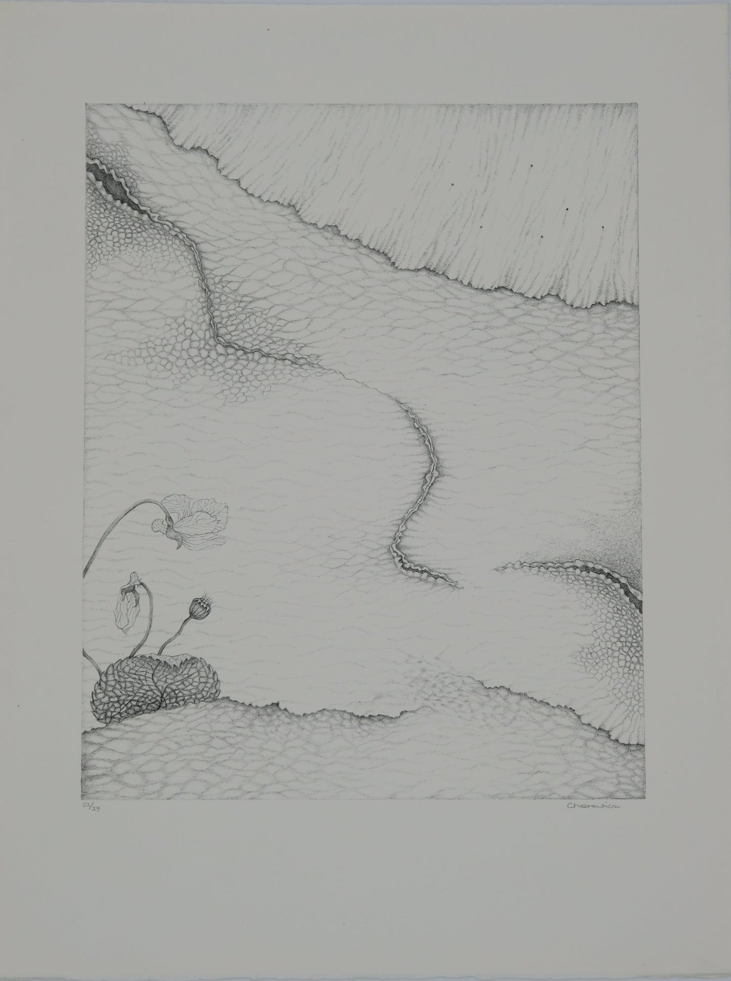 Gochka CHAREWICZ : Le sentier - Lithographie originale signée