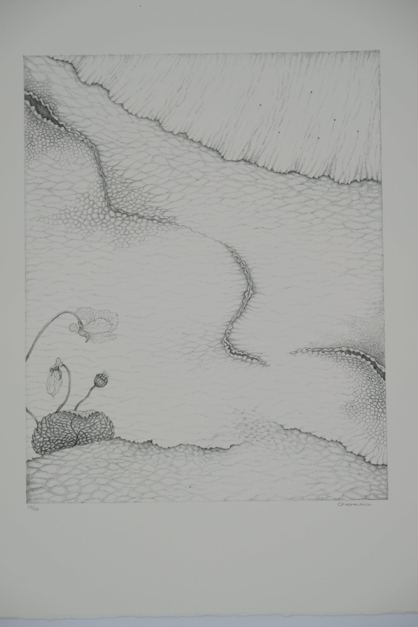 Gochka CHAREWICZ : Le sentier - Lithographie originale signée