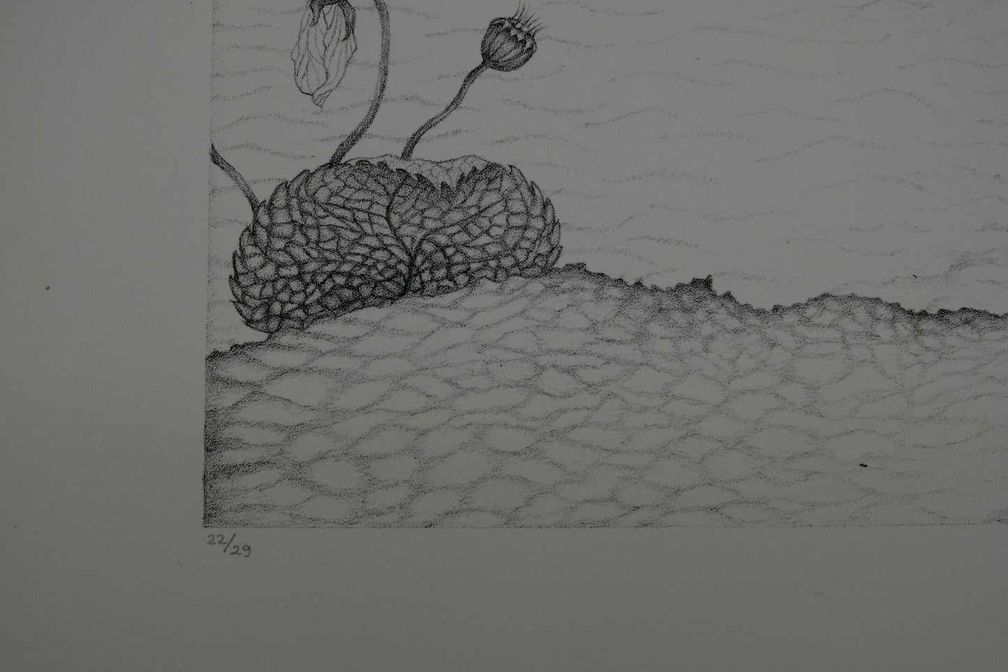 Gochka CHAREWICZ : Le sentier - Lithographie originale signée