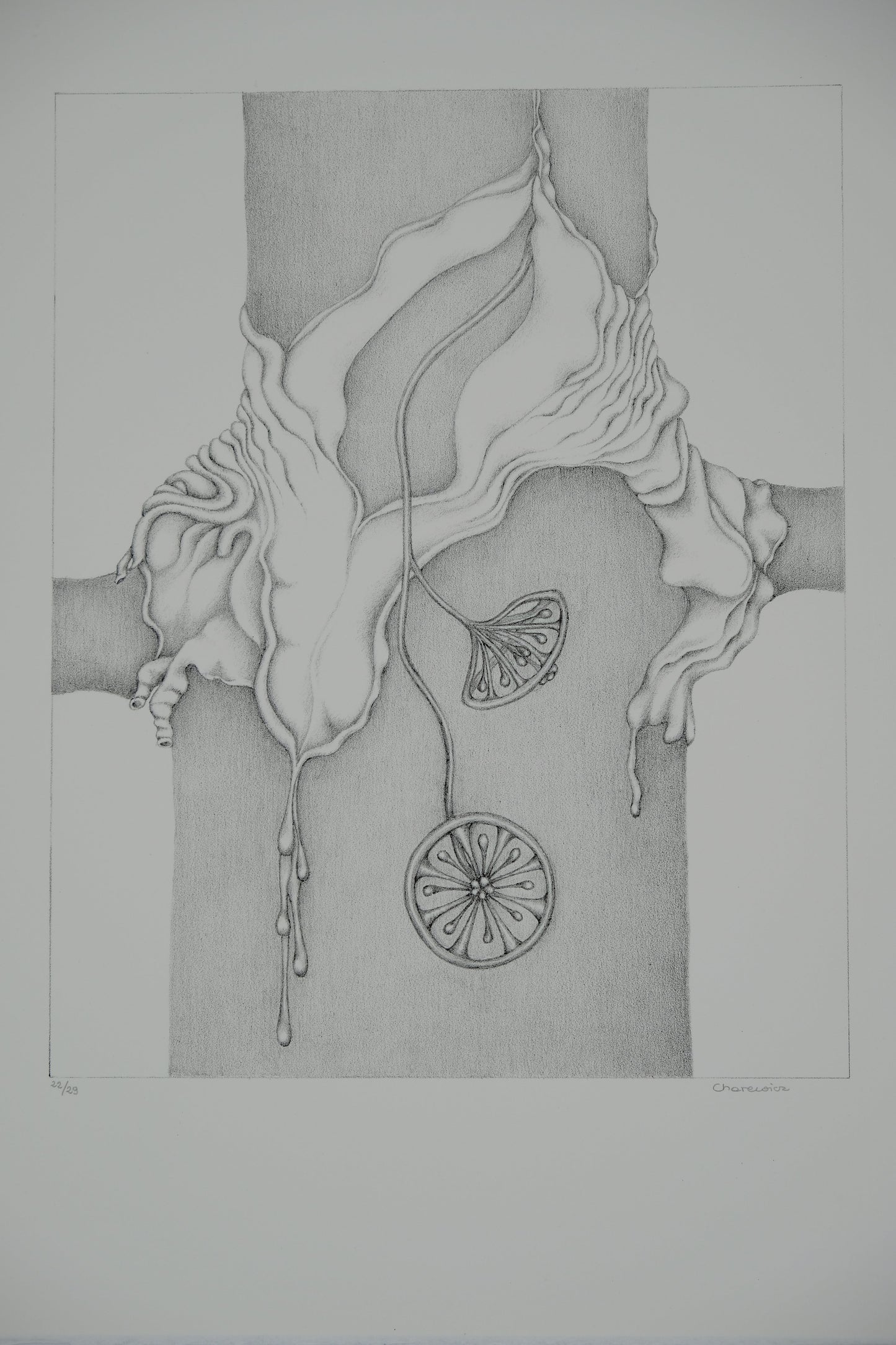 Gochka CHAREWICZ : La sève - Lithographie originale signée