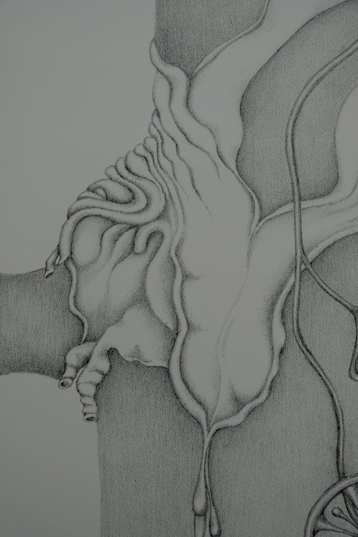 Gochka CHAREWICZ : La sève - Lithographie originale signée