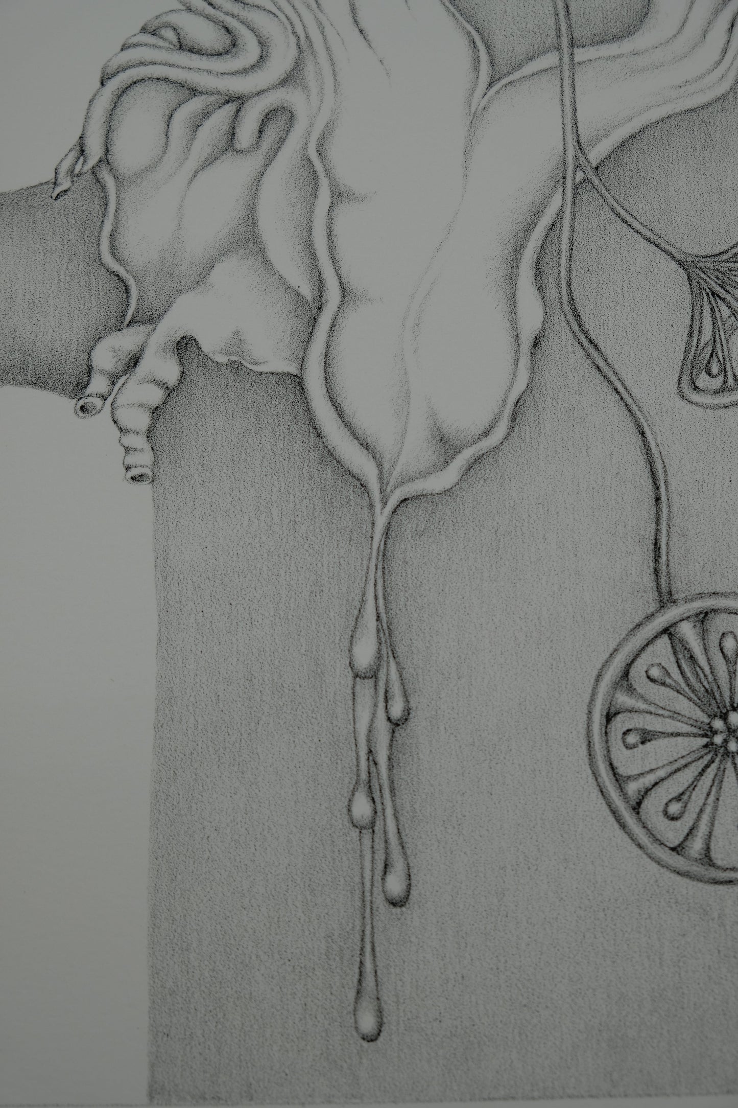Gochka CHAREWICZ : La sève - Lithographie originale signée