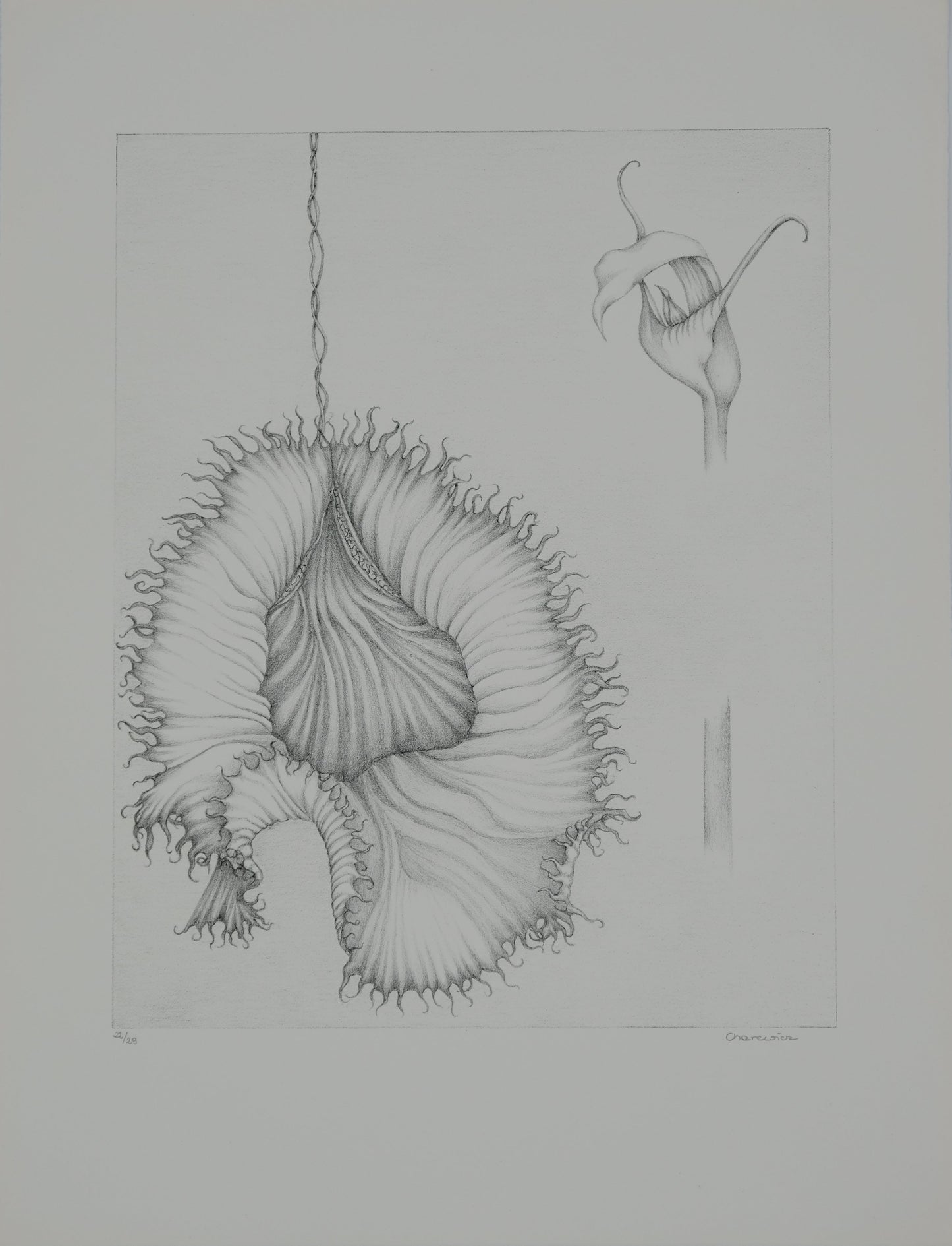 Gochka CHAREWICZ : La fleur éclose- Lithographie originale signée
