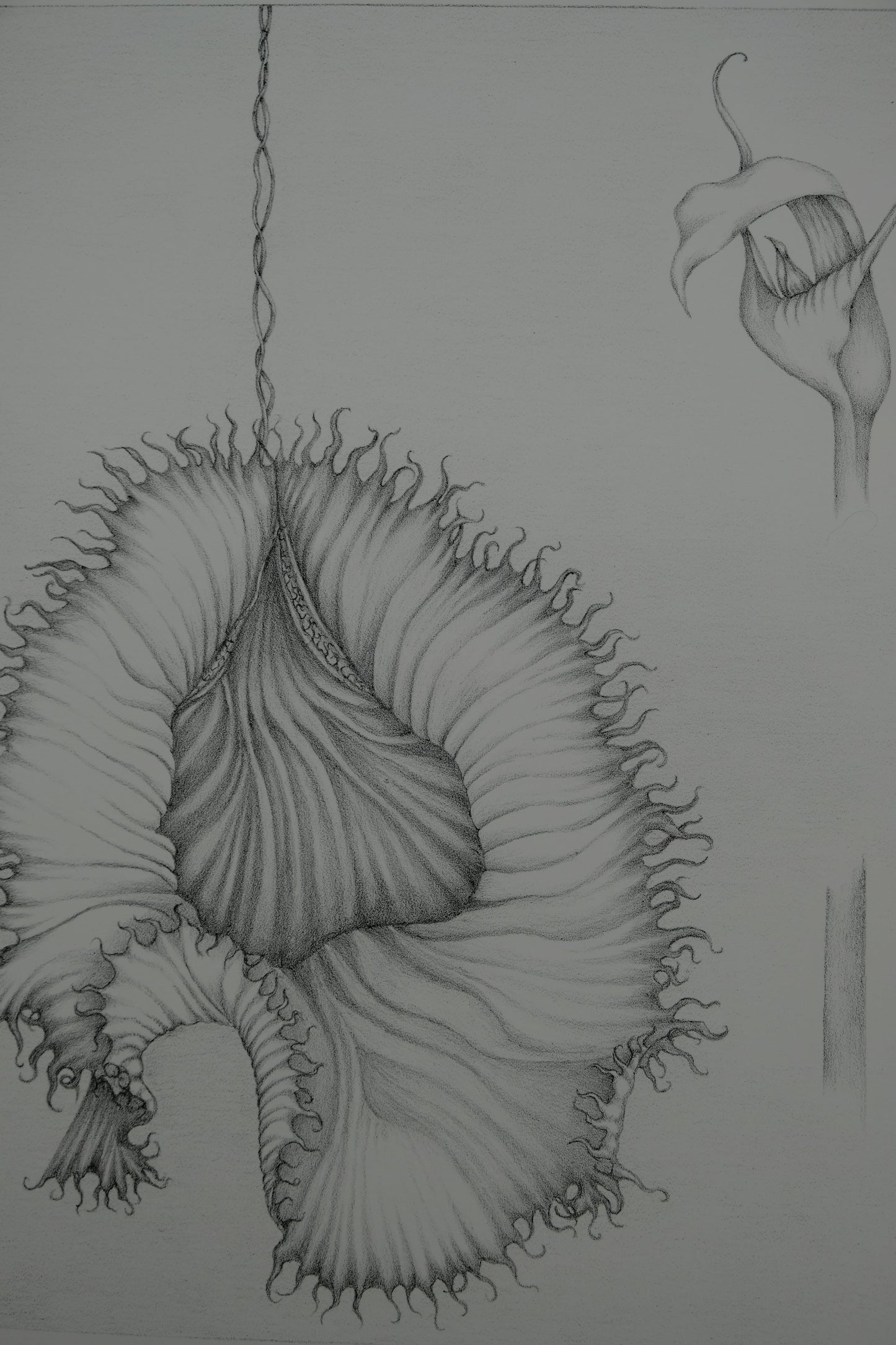 Gochka CHAREWICZ : La fleur éclose- Lithographie originale signée