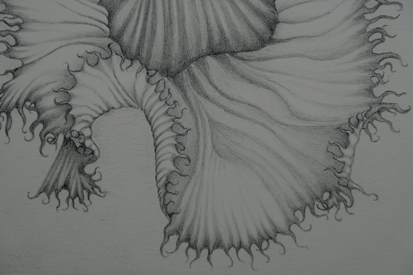 Gochka CHAREWICZ : La fleur éclose- Lithographie originale signée