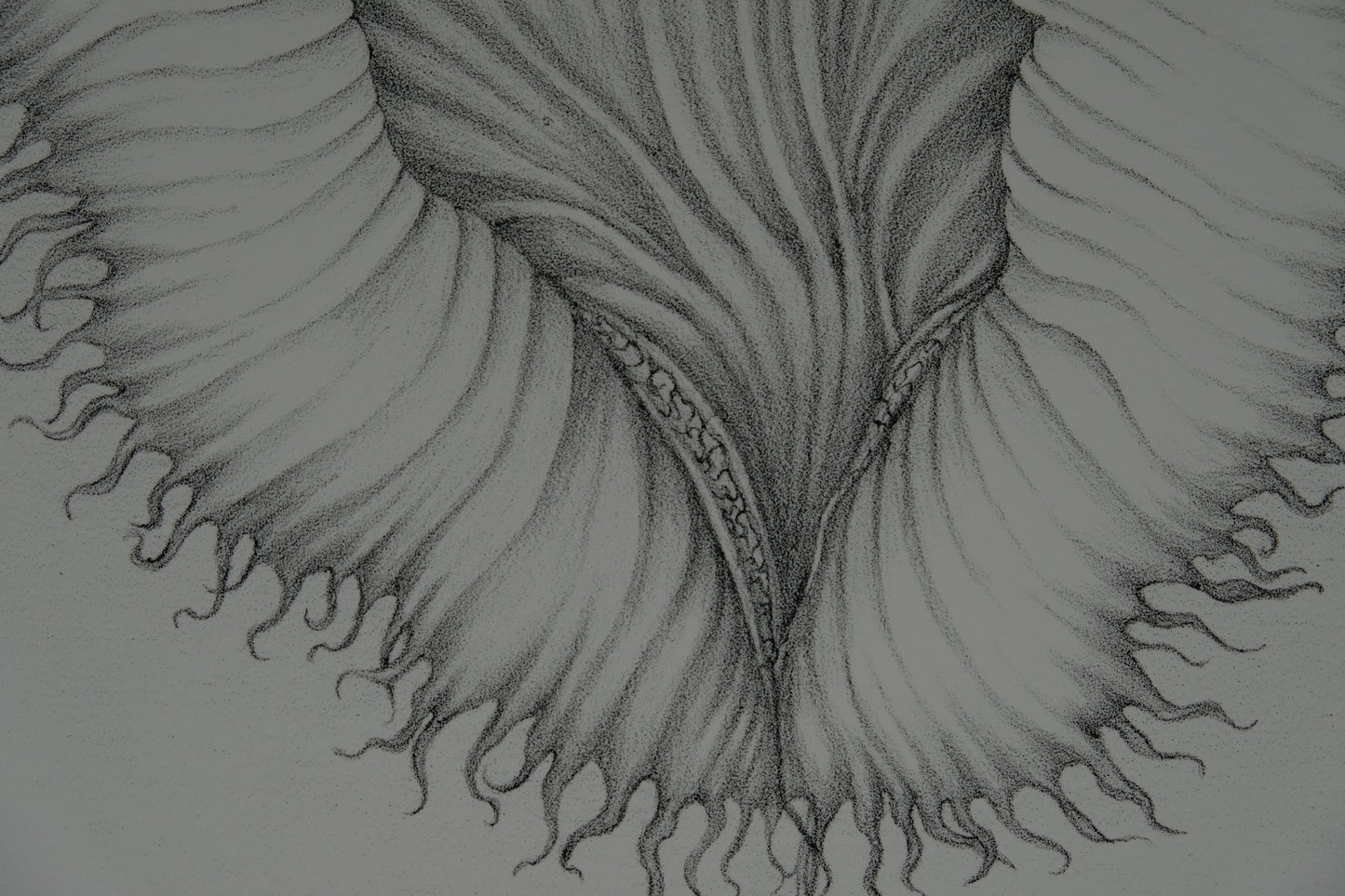 Gochka CHAREWICZ : La fleur éclose- Lithographie originale signée