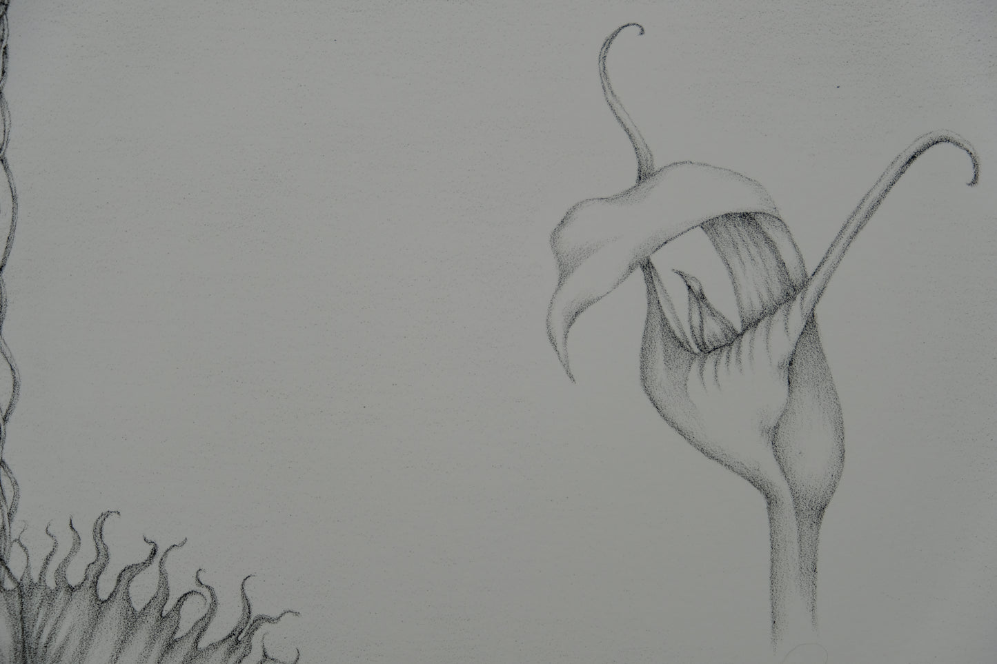 Gochka CHAREWICZ : La fleur éclose- Lithographie originale signée