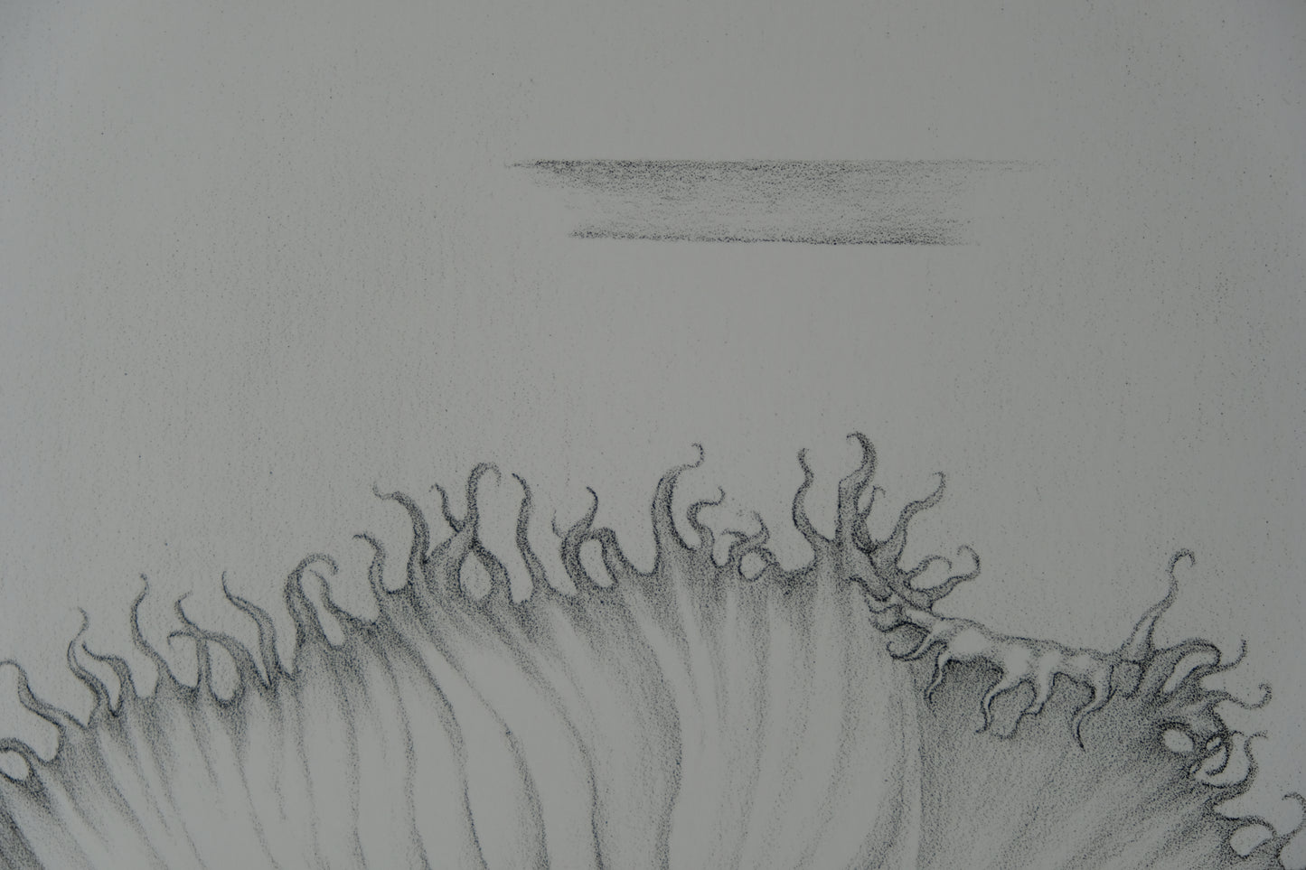 Gochka CHAREWICZ : La fleur éclose- Lithographie originale signée