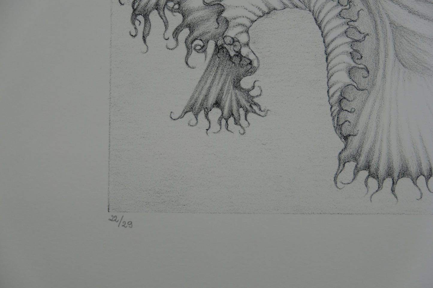 Gochka CHAREWICZ : La fleur éclose- Lithographie originale signée