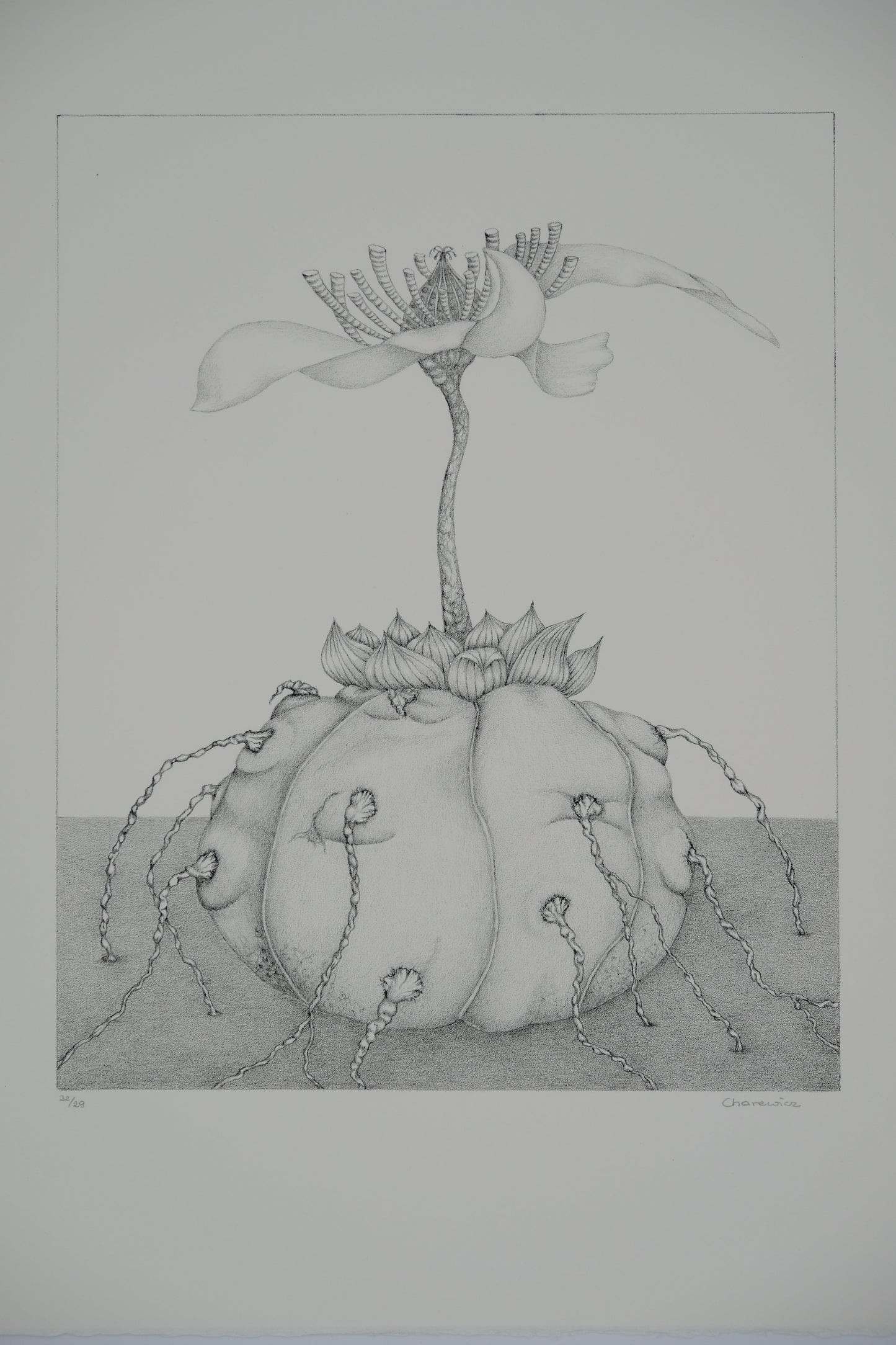 Gochka CHAREWICZ : L'éclosion - Lithographie originale signée