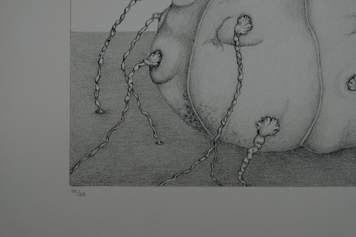 Gochka CHAREWICZ : L'éclosion - Lithographie originale signée