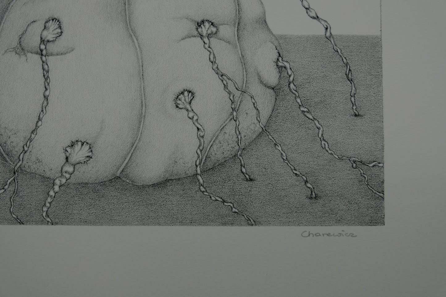 Gochka CHAREWICZ : L'éclosion - Lithographie originale signée