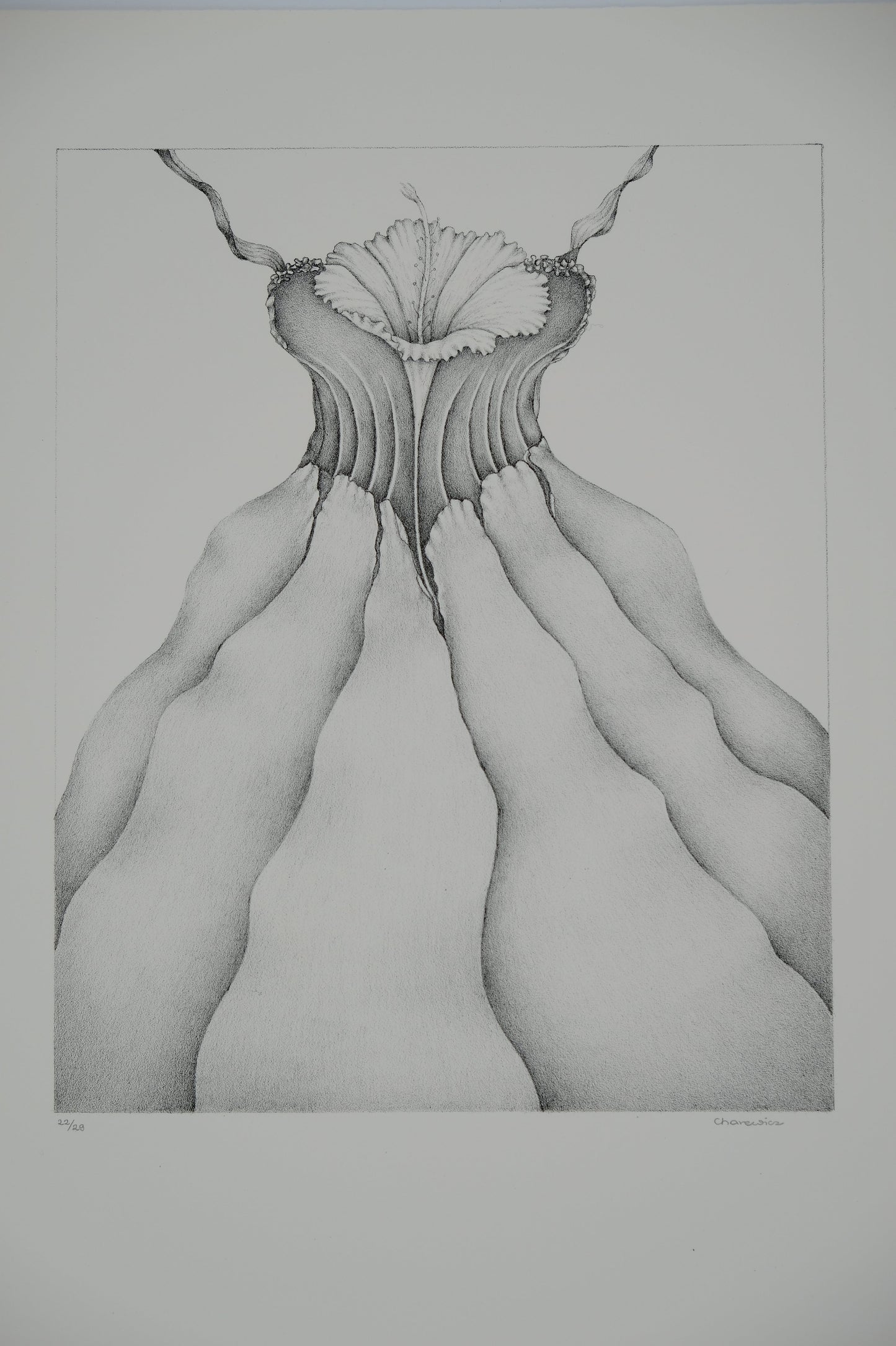 Gochka CHAREWICZ : Tour végétale - Lithographie originale signée