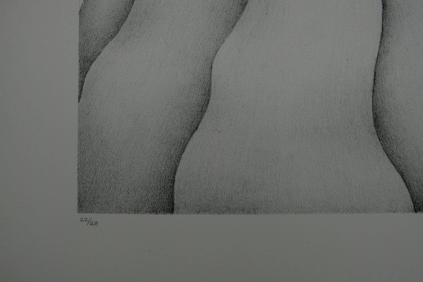 Gochka CHAREWICZ : Tour végétale - Lithographie originale signée