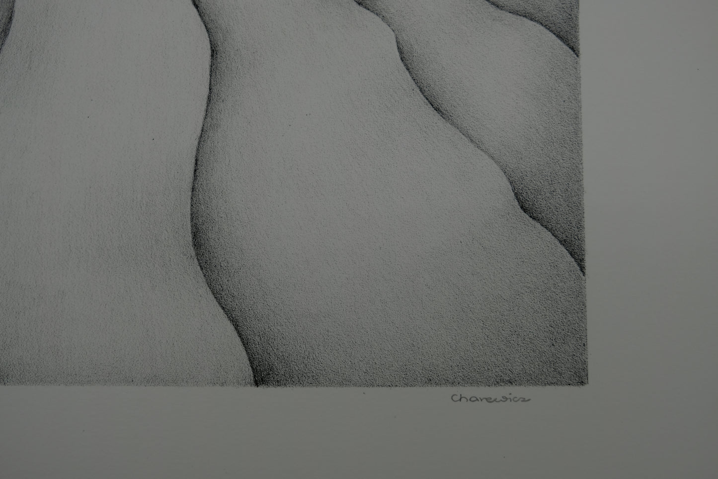 Gochka CHAREWICZ : Tour végétale - Lithographie originale signée