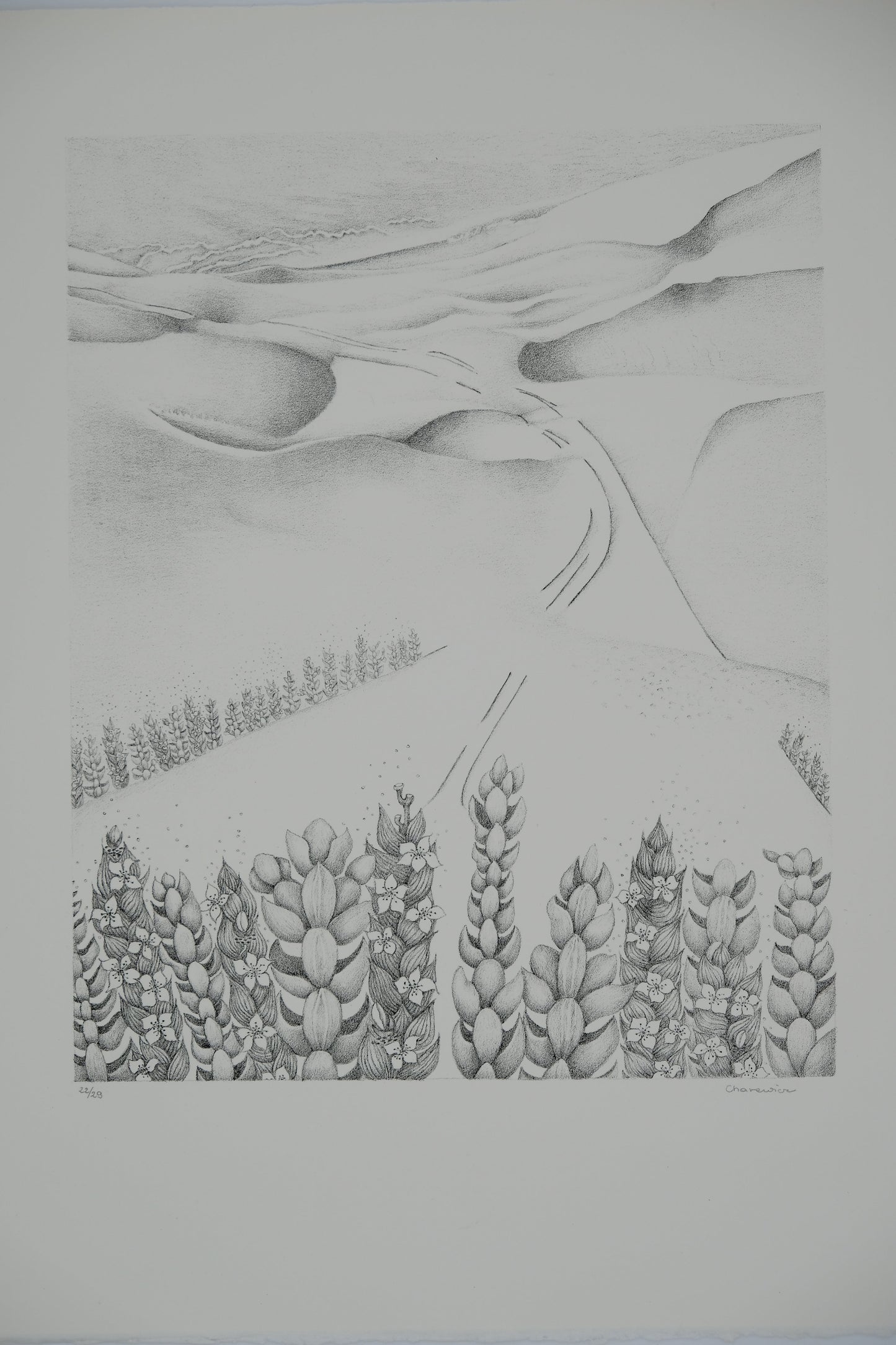 Gochka CHAREWICZ : La vallée perdue - Lithographie originale signée