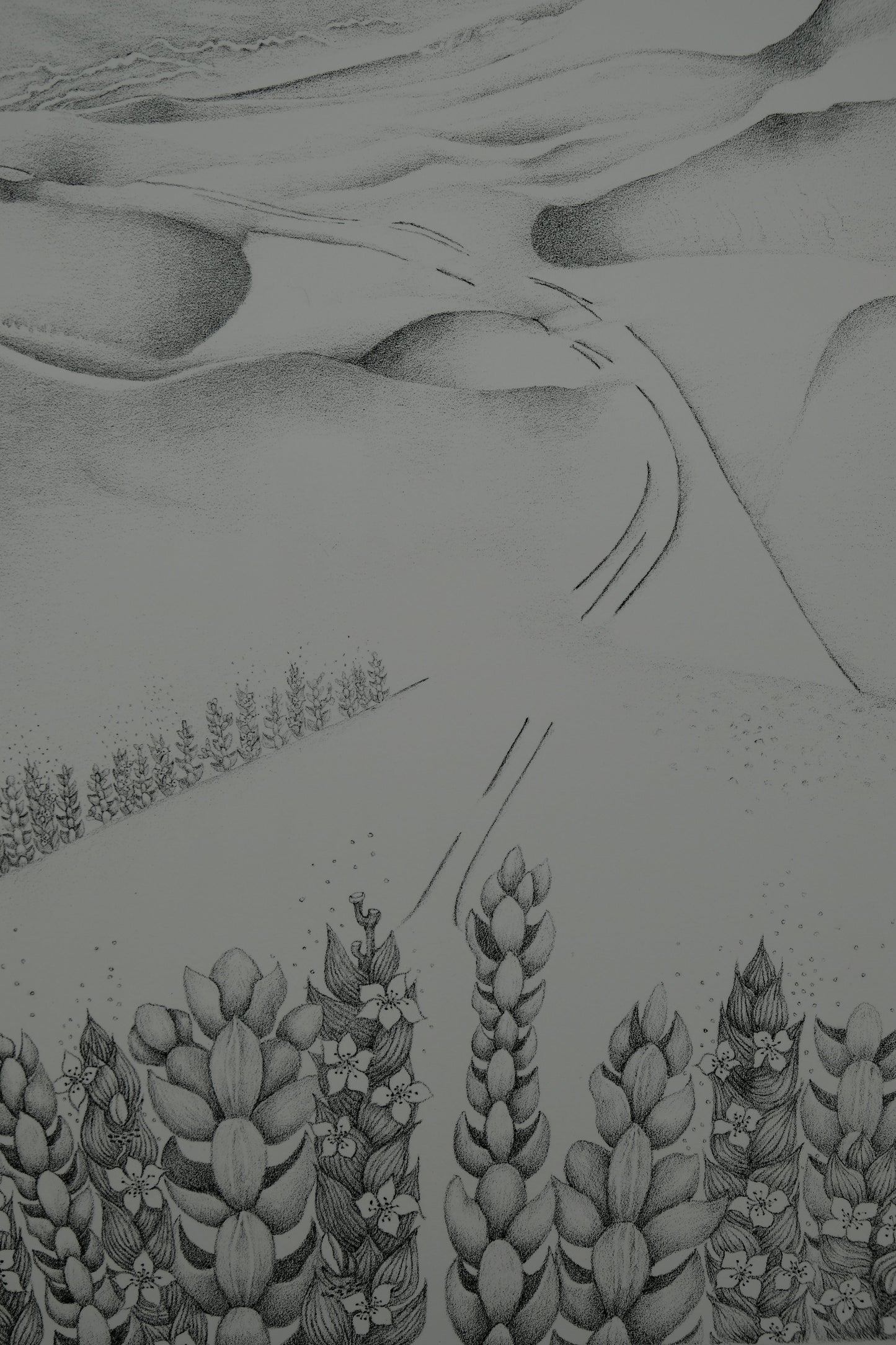 Gochka CHAREWICZ : La vallée perdue - Lithographie originale signée