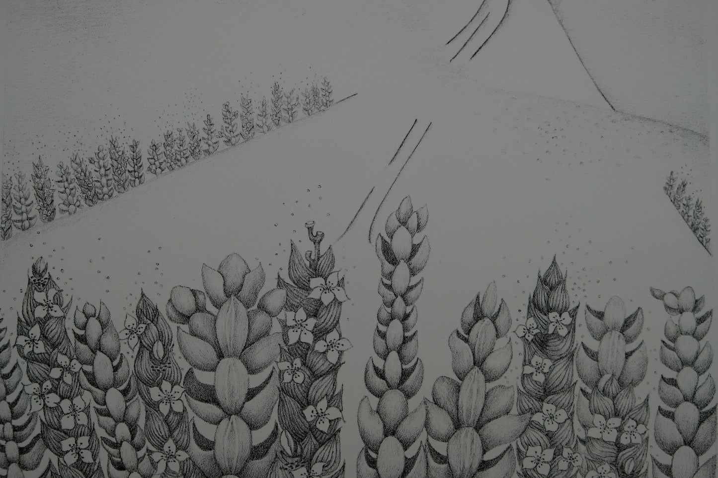 Gochka CHAREWICZ : La vallée perdue - Lithographie originale signée