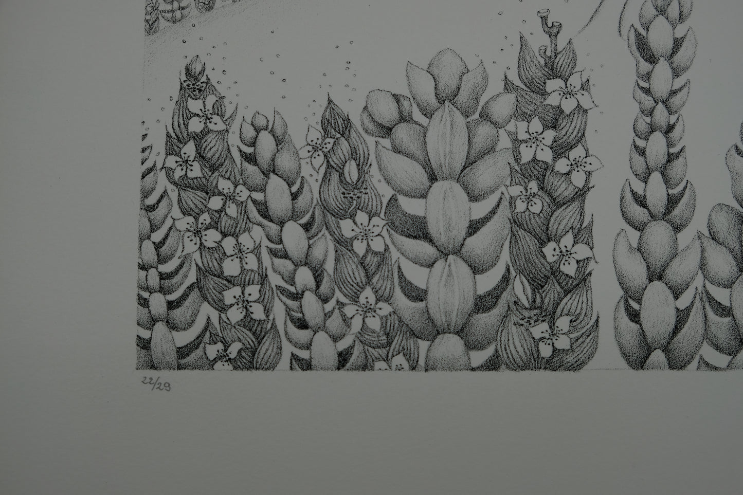 Gochka CHAREWICZ : La vallée perdue - Lithographie originale signée