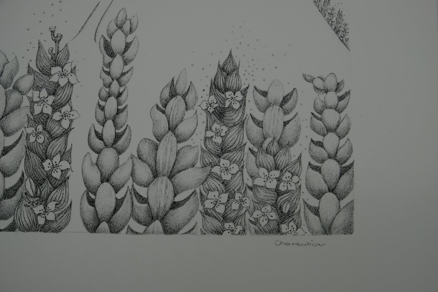 Gochka CHAREWICZ : La vallée perdue - Lithographie originale signée