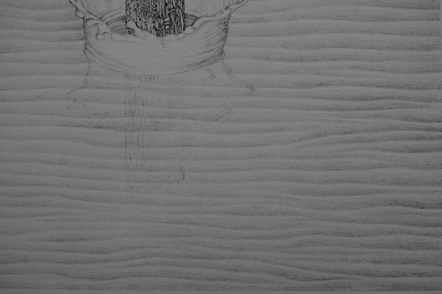 Gochka CHAREWICZ : Les ricochets - Lithographie originale signée