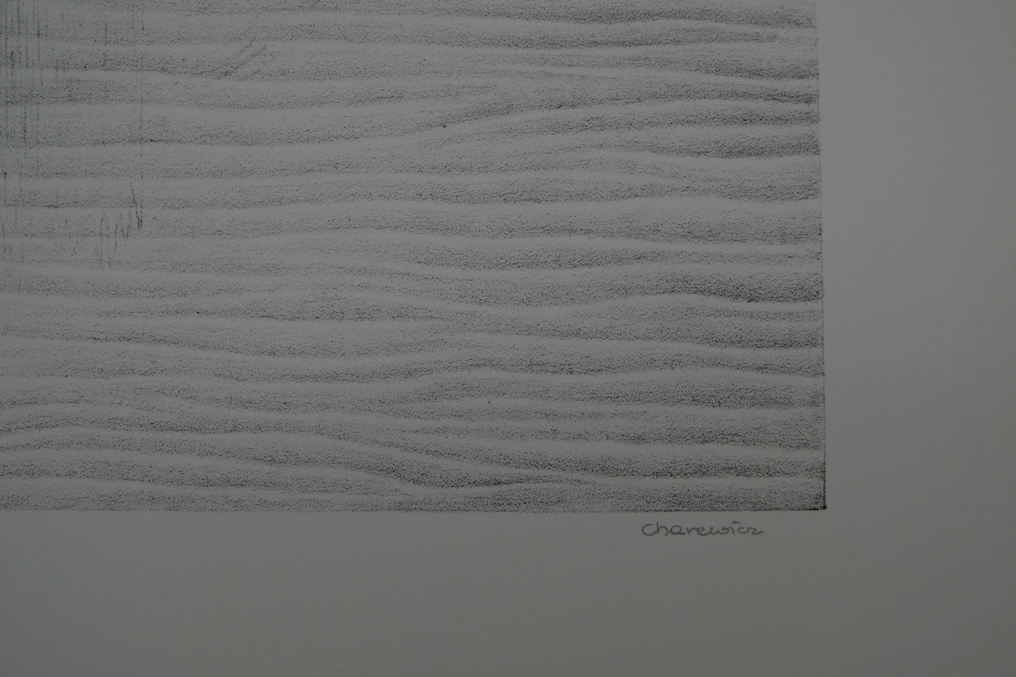 Gochka CHAREWICZ : Les ricochets - Lithographie originale signée