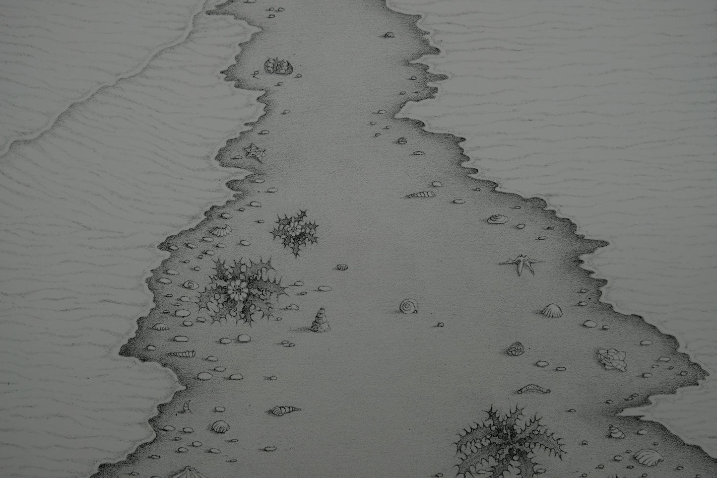 Gochka CHAREWICZ : La plage - Lithographie originale signée