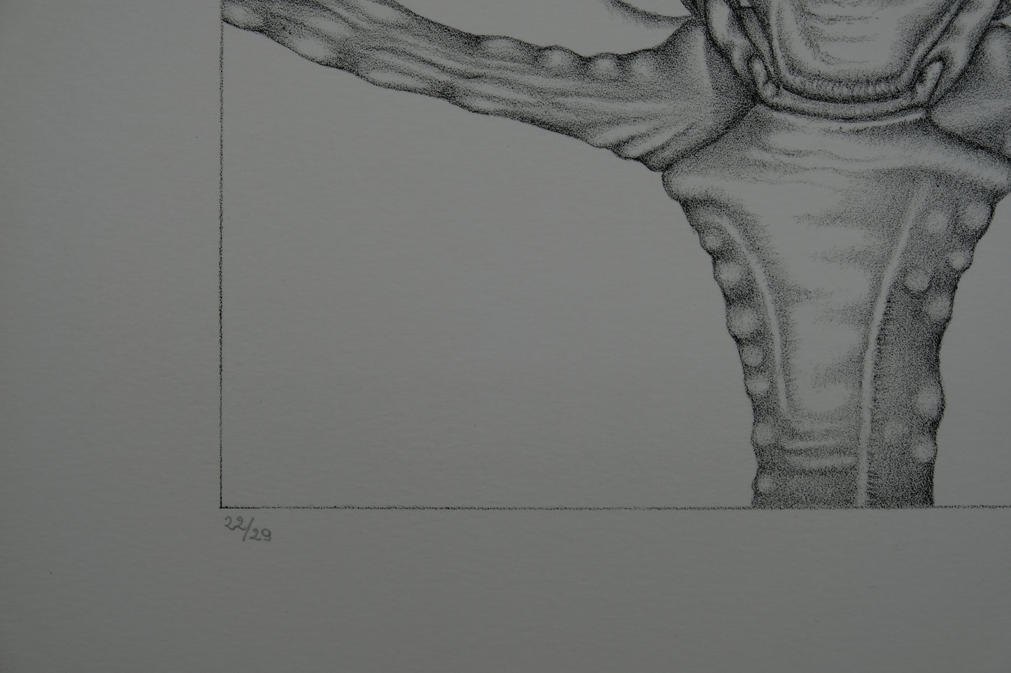 Gochka CHAREWICZ : La bulle - Lithographie originale signée