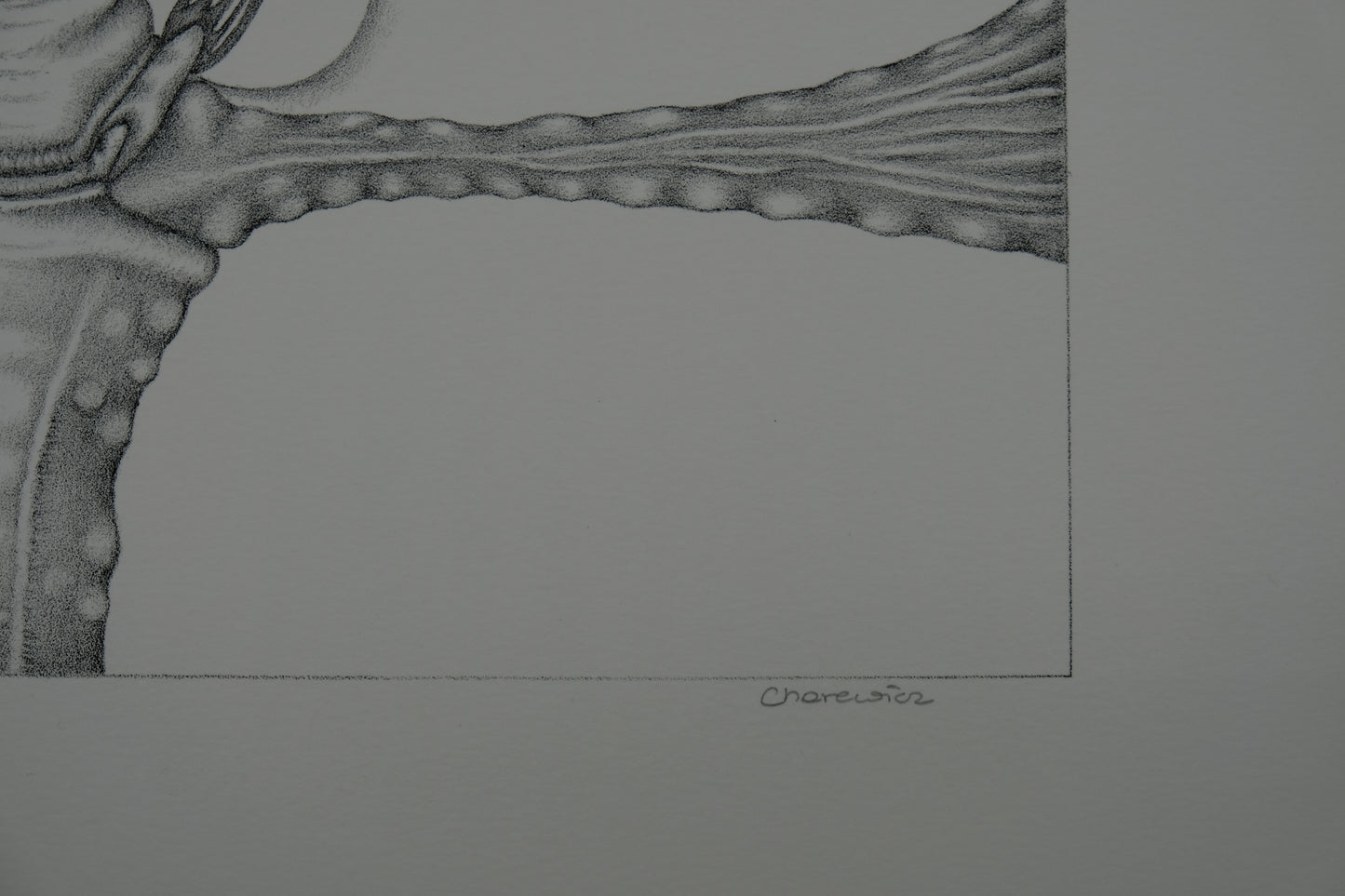 Gochka CHAREWICZ : La bulle - Lithographie originale signée