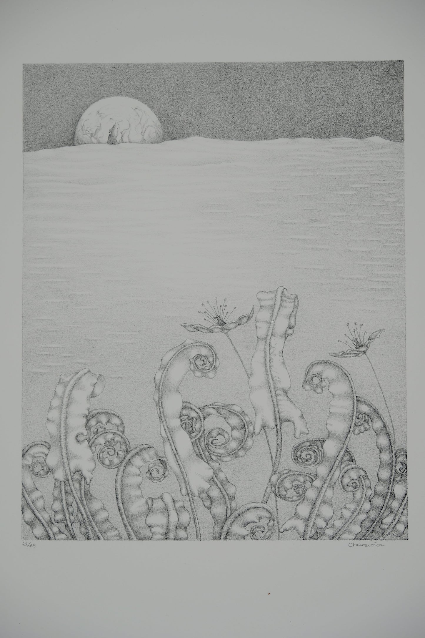 Gochka CHAREWICZ : Horizon - Lithographie originale signée
