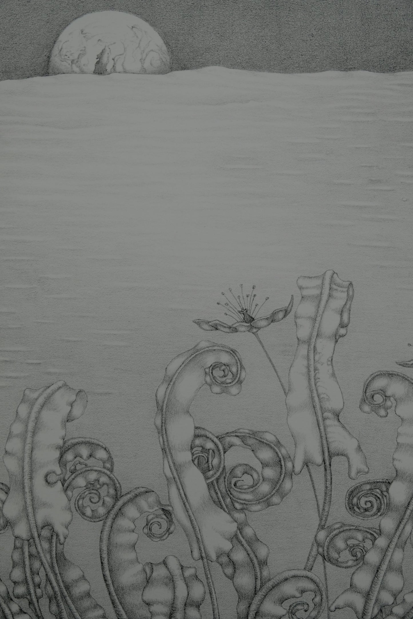 Gochka CHAREWICZ : Horizon - Lithographie originale signée